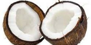 Fresh Coconuts