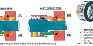 Multi Spring Seals