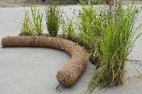 Coir Roll