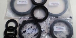 Oil Seals
