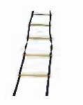 Training Ladder
