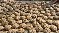 Cow Dung