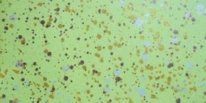 Fancy Coloured Papers 05