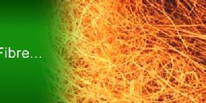 Coir Fiber