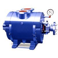 Water Ring Vacuum Pump