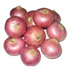 Fresh Red Onion