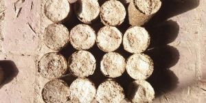 Biomass Briquettes