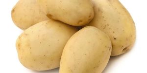 Potato
