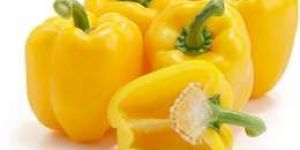 Yellow Capsicum