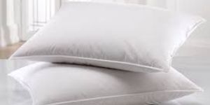 Cotton Pillow