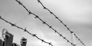 Barbed Wire