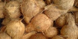 Husked Coconut