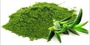 Aloe Vera Extract