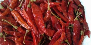 Dried Red Chilli