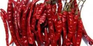 Dried Red Chilli