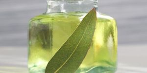 Eucalyptus Oil