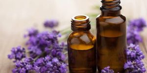 Lavender Oil