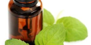 Peppermint Oil