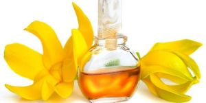 Ylang Ylang Oil