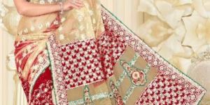 Aarya Ethnics Lace border Embroidered Georgette Net Fabric Saree_DN-2001-A