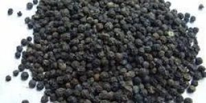 Black Pepper Seeds