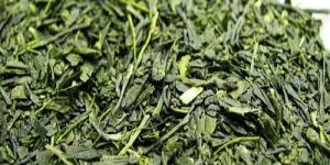 Assam Green Tea