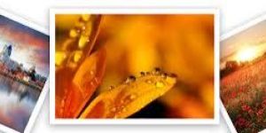 Poster Printing Services