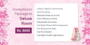 Honeymoon Tour Package