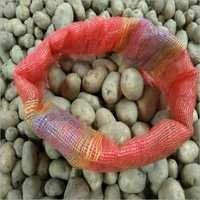 Fresh Organic Potato