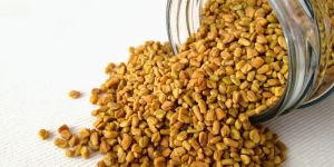 Fenugreek Seeds