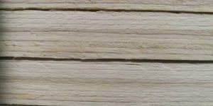 Wood Logs