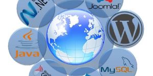 Website Development Services