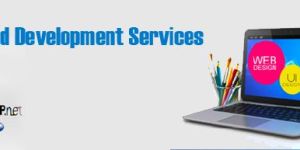 Website Design & Development Services