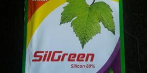 Silgreen Plant Growth Regulator