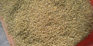 Maize Pellete Cattle Feed