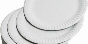 White Paper Plates