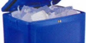 PLASTIC INSULATED ICE BOX6