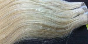 Blonde Remy Hair
