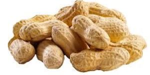 Shelled Peanuts