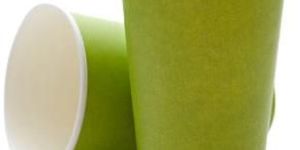 Disposable Paper Cup