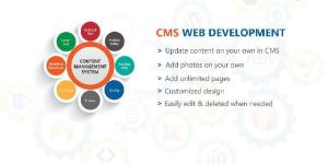 Web Designing and Development Services