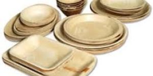 Disposable Areca Plates