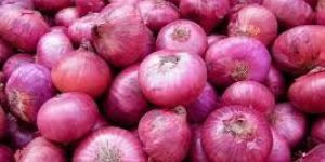 Fresh Red Onion