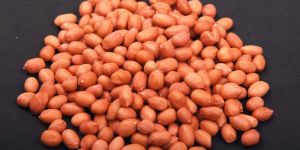 Java Peanut Kernels