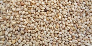 Sesame Seeds