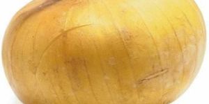Vidalia Onion