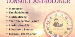 Astrology & Vaastu Services