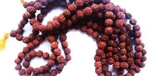 Rudraksha Gath Mala