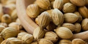 Coriander Seeds