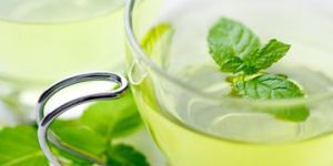 Mentha Oil